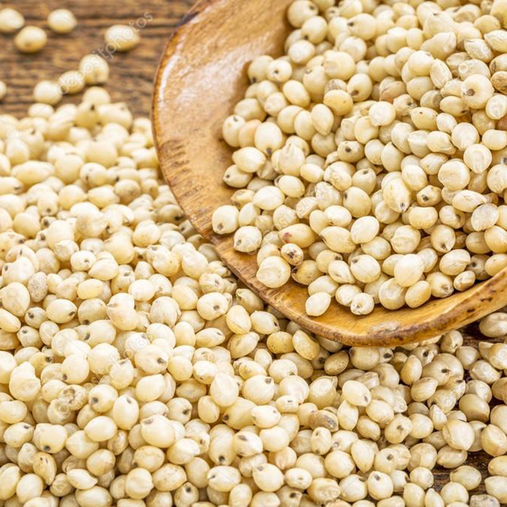 Sorghum Millet 